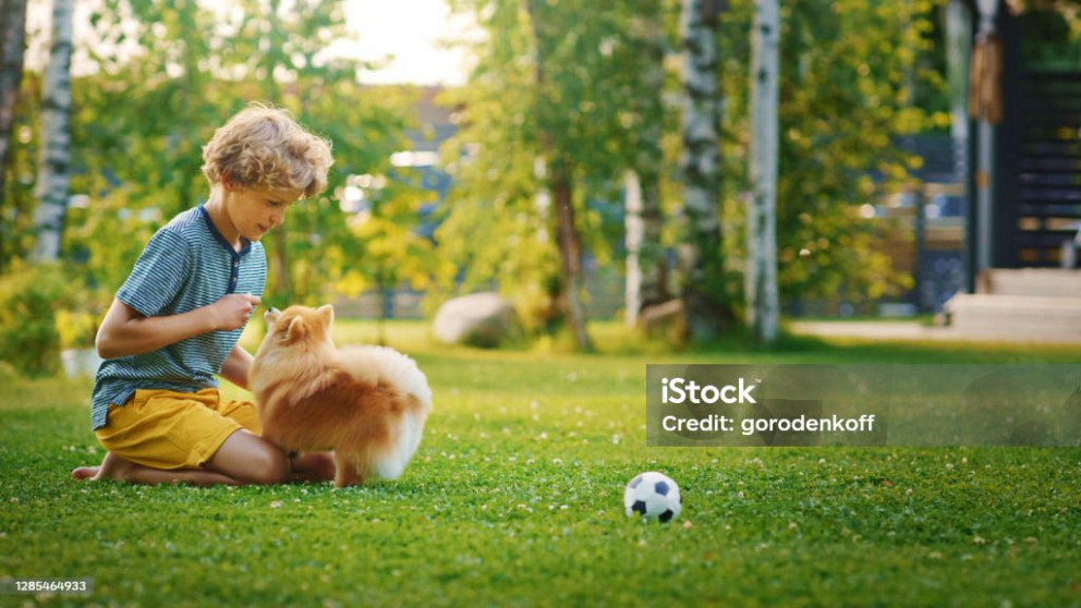 istockphoto 1285464933 1024x1024